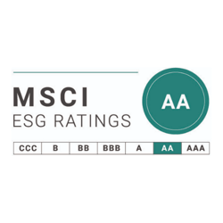 MSCI Esg rating